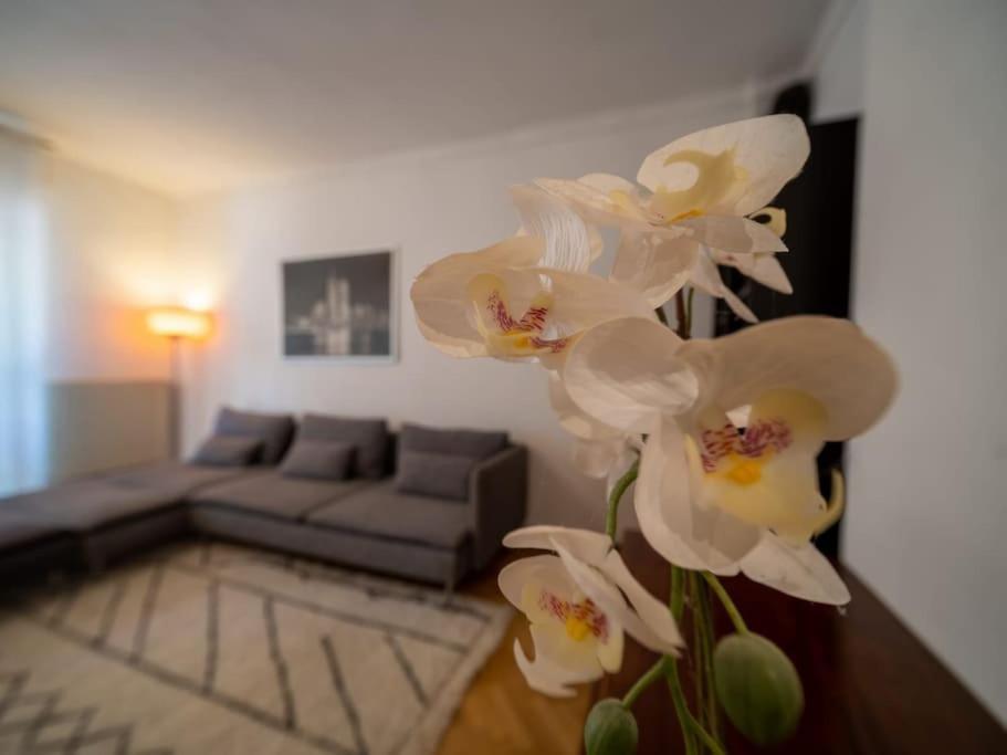 Appartement Climatise Tout Equipe A Cote Du Stade Velodrome Марсель Екстер'єр фото
